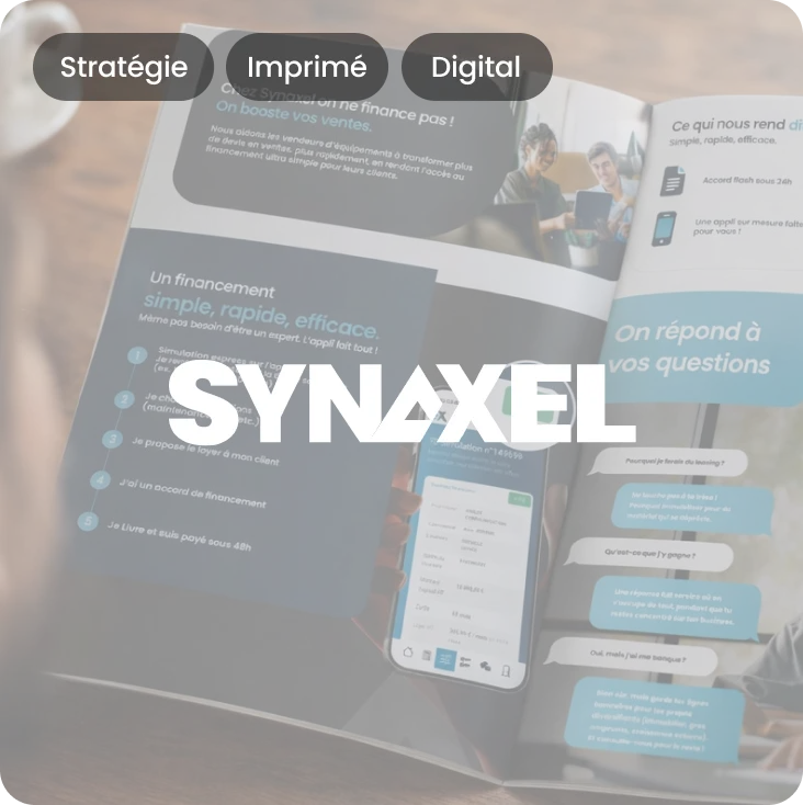 miniature projet synaxel